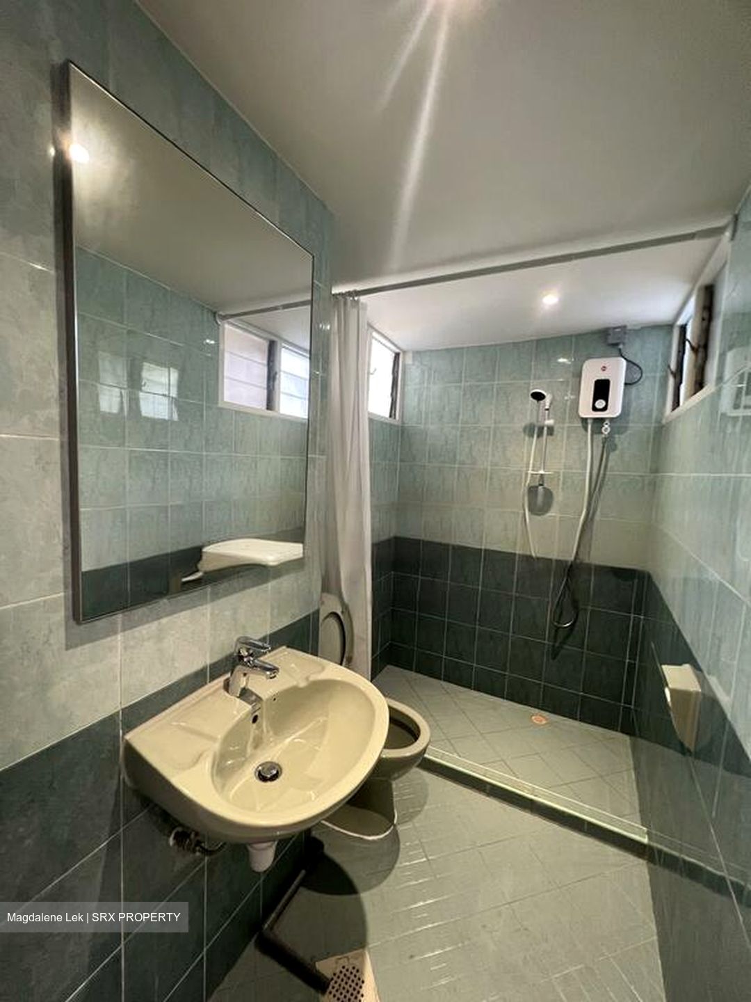 Dunearn Road (D11), Condominium #473770961